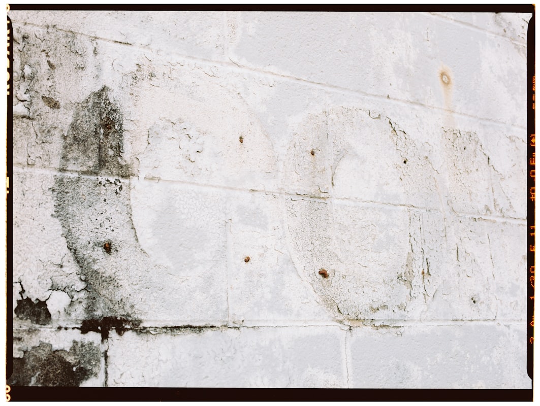 Flood Cleanup service in Houma, LA