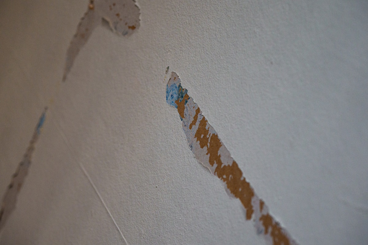 Commercial Water Damage service in Houma, LA